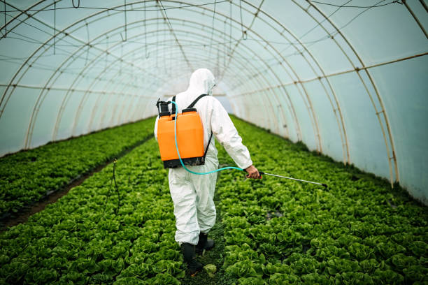 Best Pest Control for Restaurants  in Bellaire, TX